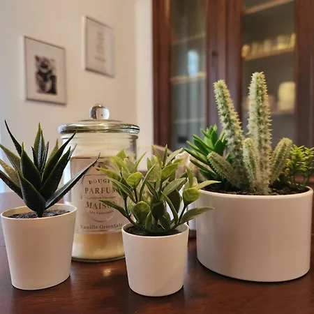 Classy Homes - A Due Passi Dal Mare Lejlighed